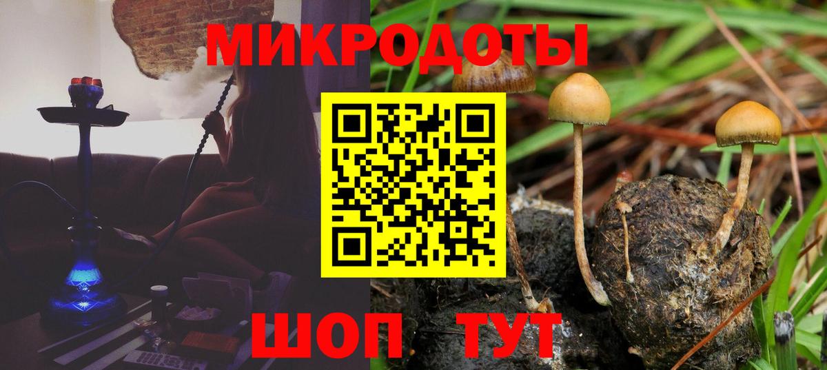 Вышний Волочёк  Галлюциногенные грибы Cubensis  Вход с VPN 